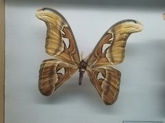 -青藏高原自然博物馆