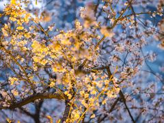 -西北湖绿化广场