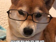 -海底捞火锅(苏宁生活广场店)
