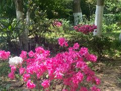 -南山风景名胜区