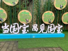 -都江堰中华大熊猫苑