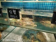 水产区-北戴河庆山饭店·海鲜砂锅粥(北戴河黑石路店)