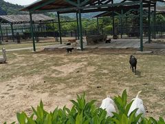 -无锡动物园·太湖欢乐园