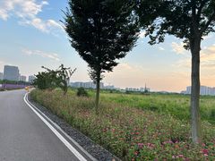 -洋湖国家湿地公园