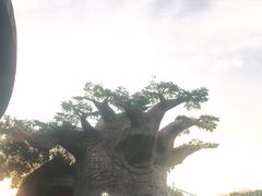 -苏州湾梦幻水世界