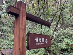 -大岭沟猕猴桃谷风景区