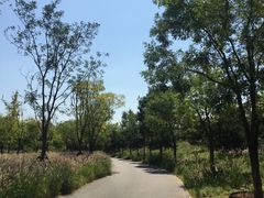 -东郊湿地公园