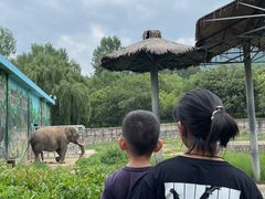 -西安秦岭野生动物园