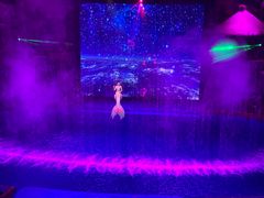 -芜湖新华联大白鲸海洋公园