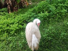 -泉州海丝野生动物世界