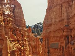 -元谋土林景区(物茂土林)