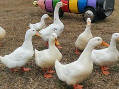 -Club Med地中海俱乐部·桂林度假村