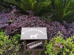 -宁波九龙湖开元度假村