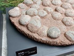 -重庆科技馆