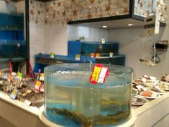 -小平岛開海水饺(浑南店)