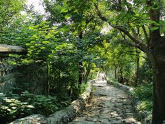 -阳台山自然风景区