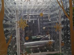 -后海16号·北京私房菜