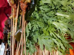 -撒拉花儿·新疆菜·清真(太阳宫店)