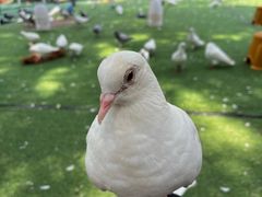 -长白岛森林公园