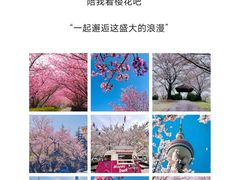-顾村公园