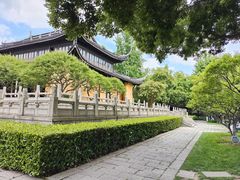 -红梅公园