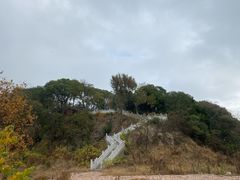 -上海市保健医疗中心