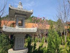 -正觉寺