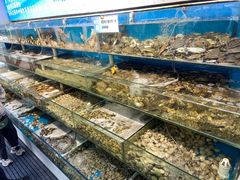 -仙螺岛海鲜自助餐厅(总店)