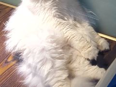 -乐宠宠物店(世纪金源店)