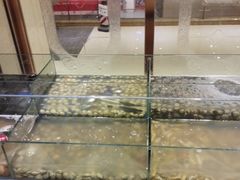 -比亚森自助烤肉料理(裕华店)