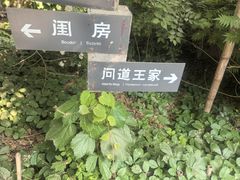 -王家大院