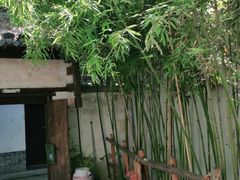 -湖光月色临湖音乐餐厅(台儿庄古城店)