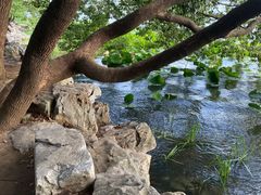 -东湖落雁景区