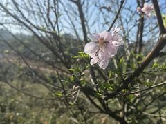 -大姆山草场
