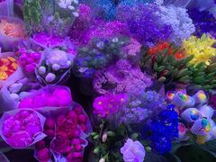 -花鸟鱼虫鲜花绿植市场(玉泉路店)
