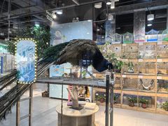 -万达广场(沈阳铁西店)