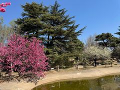 -国家植物园南园