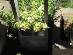 -BOCATA 西班牙餐厅(三里屯店)