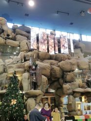 -卡通尼·Safari非洲探索乐园·生日会(金桥国际商业广场店)