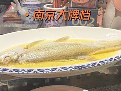 鸡汁白鱼-南京大牌档(济南万象城店)