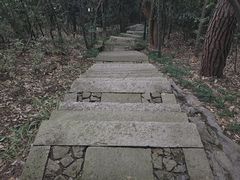 -宝石山