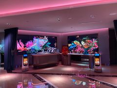 -纯K(打浦桥店)