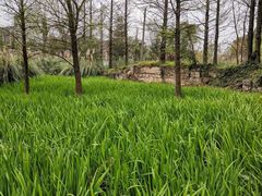 -贵阳市花溪国家城市湿地公园