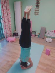 点击看大图 -齐伽生活馆·瑜伽·普拉提·阿育吠陀