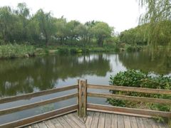 -新江湾城公园