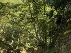 -千岛湖王子谷漂流