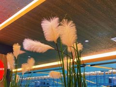 -青水瓦台汤泉(未央店)