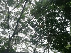 -呀诺达热带雨林