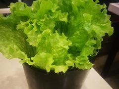 阿姨的家の生菜-郑阿姨的家·이모네·韩料&烤肉(武川路店)