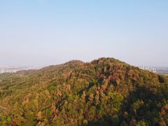 -青龙山国家森林公园